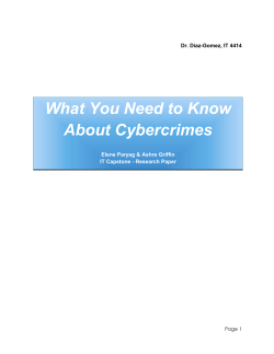 Theft crimes and Cyber Terrorism