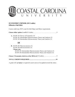 minor in economics