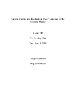 Option Theory and Production Theory Applied to the Housing