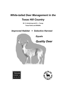 White-tailed deer management in the Texas Hill Country