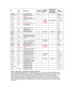 ID gene Description # of yeast colonies P granule phenotype in WT