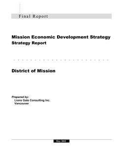 Mission Economic Development Strategy