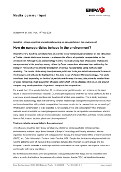 How do nanoparticles behave in the environment?