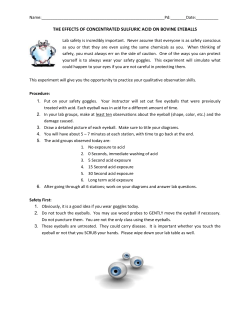 Cow Eye Lab