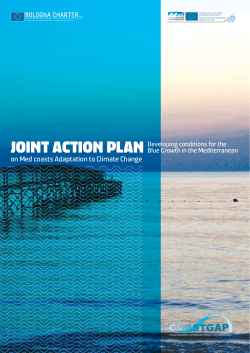 joint action plan