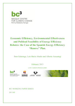 Economic Efficiency, Environmental Effectiveness and Political