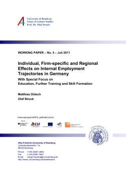 Individual, Firm-specific and Regional Effects on Internal