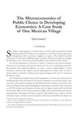 The Microeconomics of Public Choice in Developing Economies: A