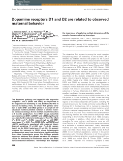 Dopamine receptors D1 and D2 are related to observed maternal