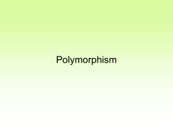 polymorphism