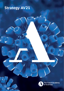 FRAMEWORK OF STRATEGY AV21 Strategy AV21