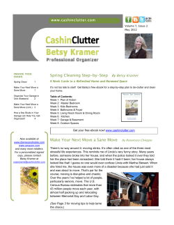 Spring Cleaning Step-by-Step By Betsy Kramer Make Your Next