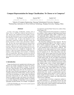 Compact Representation for Image Classification: To Choose or to
