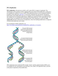c. DNA replication