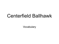 Centerfield Ballhawk