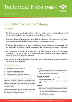 Technical Note (TN658): Condition Scoring of Sheep