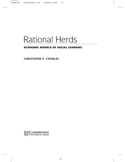 Rational Herds - Securities Mosaic