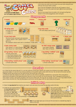 Camel Up Cards - Rules - Pegasus-Shop
