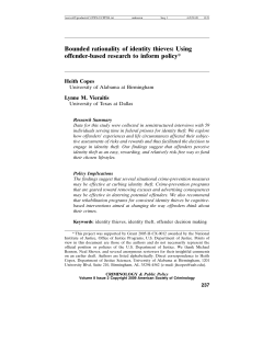 Bounded rationality of identity thieves: Using offender-based
