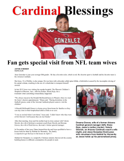 Fan gets special visit from NFL team wives