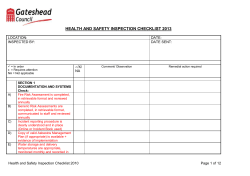 PREMISE SAFETY AUDIT FORM