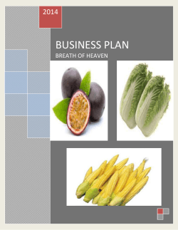 business plan - cloudfront.net