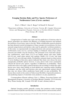 Foraging Decision Rules and Prey Species Preferences of