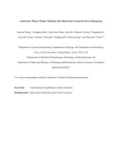 Escherichia coli Toxin/Antitoxin Pair MqsR/MqsA