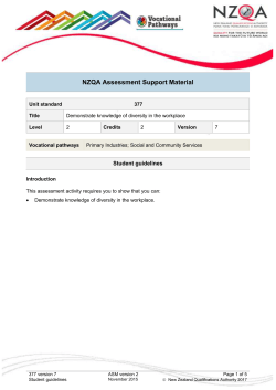 377 Student guidelines