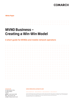 MVNO Business &ndash; Creating a Win