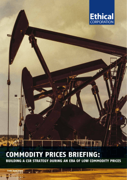 commodity prices briefing