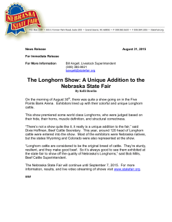 The Longhorn Show: A Unique Addition to the