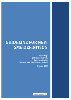 Guideline on New SME Definition