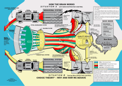 how the brain works choice theory&reg; &ndash; why and how we behave