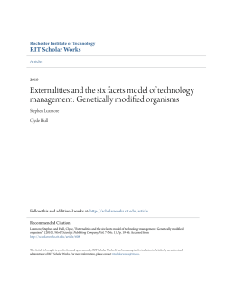 Externalities and the six facets model of technology management