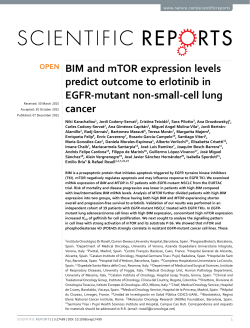 BIM and mTOR expression levels predict outcome to erlotinib in