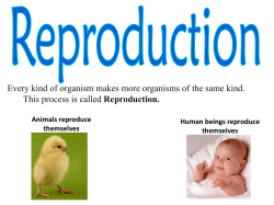 sciency support - ProfessorKoonin2012