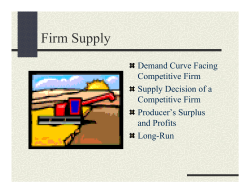 Firm Supply - Andrew.cmu.edu