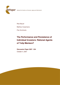 The Performance and Persistence of Individual Investors: Rational
