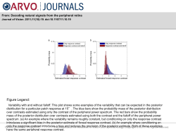 Slide - Journal of Vision