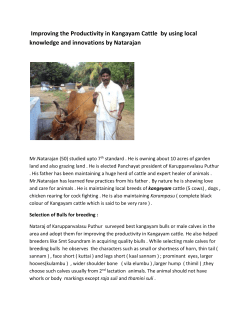 Improving the Productivity in Kangayam Cattle Breed by using local