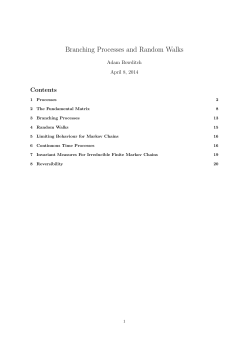 Stochastic Processes and Branching Processes