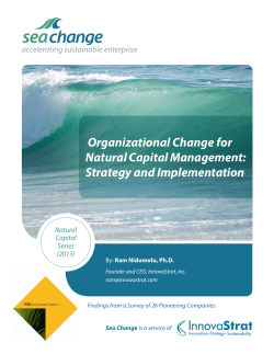Organizational Change for Natural Capital Management: Strategy