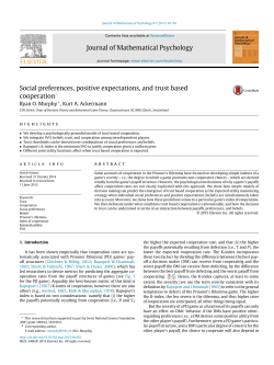 Social preferences, positive expectations, and