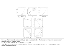 Leaf-lamina conductance contributes to an equal distribution of
