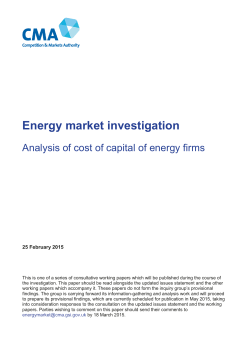 Energy market investigation: Analysis of cost of capital of energy firms