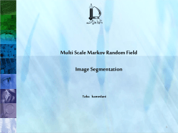Multi Scale Markov Random Field Image Segmentation Taha