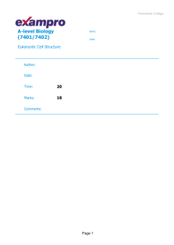 Eukaryotic Cells Exam Qs
