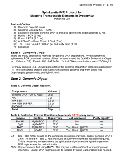 Splinkerette PCR for P
