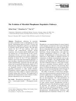The Evolution of Microbial Phosphonate Degradative